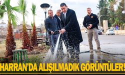 Enerjisi bitmek bilmiyor...