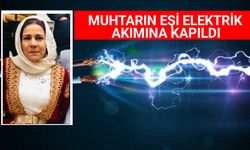 Suruç’ta Elektrik Akımı Faciası: Muhtarın Eşi Hayatını Kaybetti