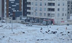 Urfa'da kar yağışı birgünlük tatil getirdi