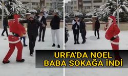 Urfa'da kar yağışı renkli görüntülere neden oluyor