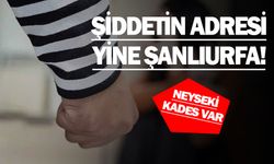 Eşini dövdü yetmedi polisi ısırdı!