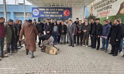 Halil Polat Mazbatasını Aldı: Esnaf Camiasından Anlamlı Dayanışma