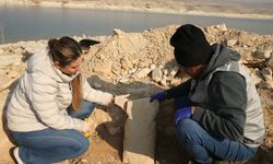 Göbeklitepe'ye rakip çıktı...