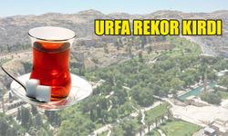 Türkiye’nin en çok çay tüketen ili belli oldu