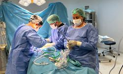 Şanlıurfa'da yüz güldüren operasyon