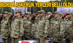 2026 Bedelli Askerlik Yerleri Açıklandı! e-Devlet’te Yoğunluk Yaşanıyor