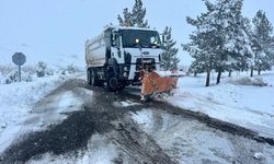 Büyükşehir Belediyesi Ulaşımı Aksatmadı
