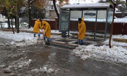 Haliliye Belediyesi ekipleri mücadelesini sürdürüyor