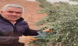 Urfa"da Asansör Faciası: 4’üncü Kattan Düşen Adam Hayatını Kaybetti