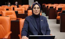 Ceylanpınar’da 60 Yıllık Mülkiyet Sorununa Çözüm Yolu Açılıyor