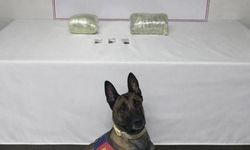 Şanlıurfa’da Uyuşturucu Operasyonu: Kilolarca Esrar Ele Geçirildi