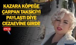 Köpeği Ezen Şoför Dışarıda, Görüntüyü Paylaşan Kadın Cezaevinde!