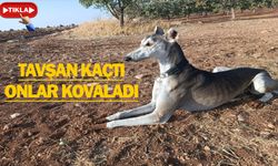 Karaköprü Kırsalında Nefes Kesen Anlar