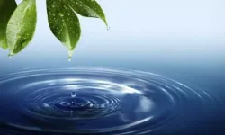 Cemrenin ikincisi suya düştü