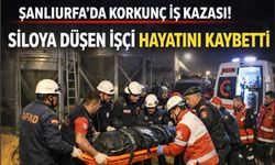 Urfa'da mısır filosu can aldı!