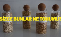 Şanlıurfa Büyükşehir Belediyesi dağıtacak