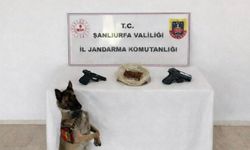 Eyyübiye’de Narkotik Operasyonu: Uyuşturucu ve Silah Ele Geçirildi