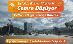 Urfa'da cemre düşüyor