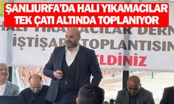 Urfa'daki halı yıkamacılarıyla ilgili flaş gelişme!