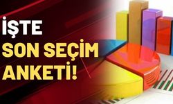 Son seçim anketinde çarpıcı sonuçlar....
