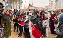 Akçakale’de jandarma ve emniyetten ortak çalışma