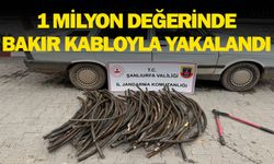 Ceylanpınar’da Milyonluk Kablo Hırsızlığı: Jandarmadan Suçüstü!