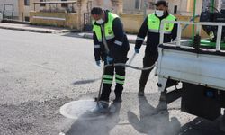 Büyükşehir’den sivrisinek ve haşerelere karşı yoğun mesai