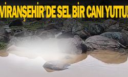 Viranşehir’de Derede Erkek Cesedi Bulundu