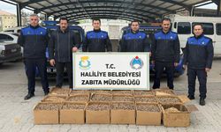 Kilolarca küflenmiş ceviz ele geçirildi