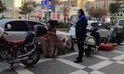 Haliliye Belediyesi’nden Dilenci Operasyonu