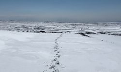 Burası Erzurum Değil Siverek...