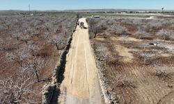 Karaköprü’de kırsal yollarda çalışmalar sürüyor