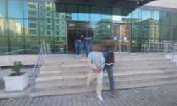 Birecik koordinesinde operasyon: Silah tacirlerine darbe