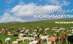 Urfalı besicilere müjde! Başvurular başlıyor