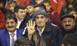 Urfa'nın yüzde kaçı Kürt?