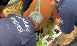 Şanlıurfa’da iş kazası: Demir parçası gencin vücuduna saplandı