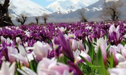 Tunceli’de Urfalı müdürden gururlandıran adaylık: Ziyaret köyü dünya sahnesinde