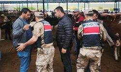 Şanlıurfa'da Jandarma bayram öncesi alarmda!
