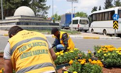 Büyükşehir kendi serasında üretti, şehrin dört bir yanını çiçeklerle donattı