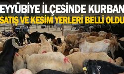 Eyyübiye'de oturan vatandaşların dikkatine!