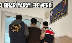 Şanlıurfa'da Firari Suçlulara Geçit Yok: 3 İlçede 3 Önemli Yakalama!