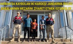 HARRAN’DA KAYBOLAN İKİ KARDEŞİ JANDARMA BULDU: BABALARININ MEZARINI ZİYARET ETMEK İSTEMİŞLER