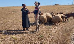 Günlerdir kayıp olan 17 küçükbaş drone ile bulundu