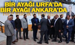 Vekil Eyyüpoğlu Eyyübiye'de...