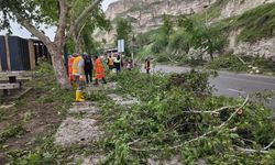 Viranşehir ve Birecik’te hayat normale dönüyor
