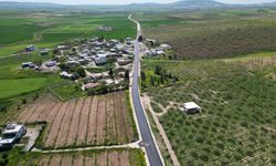 Şanlıurfa’da 14 kilometrelik grup yolunda asfalt seferberliği sürüyor