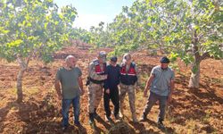 Şanlıurfa’da kayıp çocuk operasyonu mutlu sonuçlandı