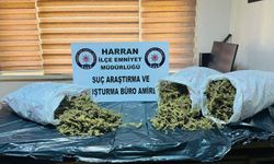 Şanlıurfa’da narkotik ekiplerinden başarılı operasyon