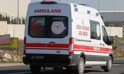 Şanlıurfa'da otomobil kontrolden çıktı! 1'i çocuk kişi yaralandı