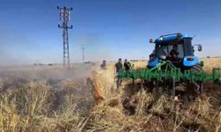 Urfa'da arpa ekili tarla kül oldu